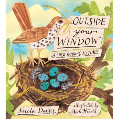 Outside Your Window: A First Book of Nature