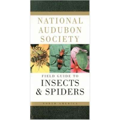Insect Identification Guides :National Audubon Society Field Guide to North American Insects and Spiders