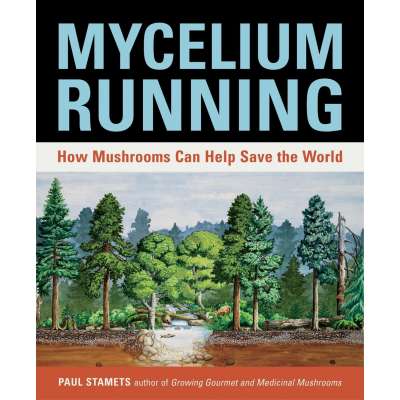 Mycelium Running: How Mushrooms Can Help Save the World