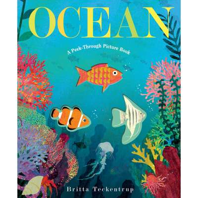 Ocean: A Peek-Through Picture Book