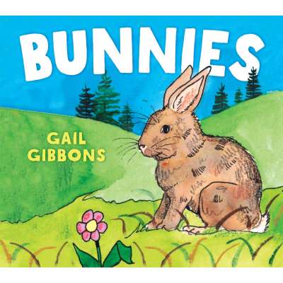 Farm Animals :Bunnies BOARD BOOK