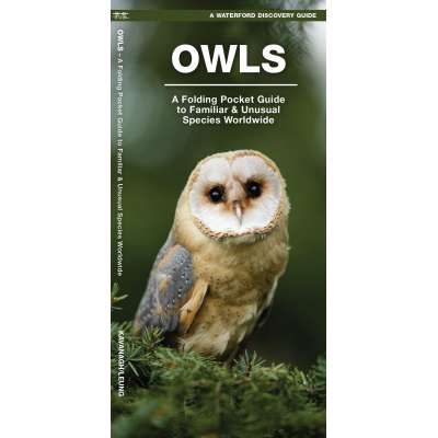 Bird Identification Guides :Owls: A Folding Pocket Guide to Familiar Species Worldwide