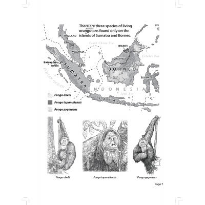 Dr. Jeff Meldrum's Relict Hominoid Fun and Learning Activity Workbook: Orang Pendek Edition