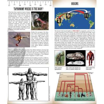 Sasquatch Field Guide (Folding Pocket Guide)