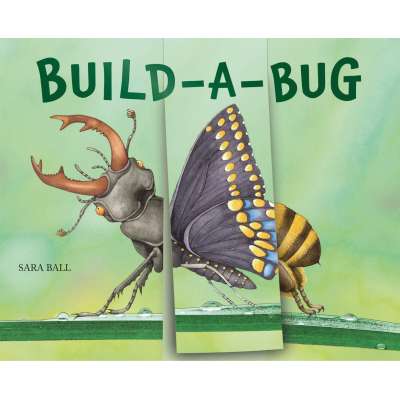 Butterflies, Bugs & Spiders :Build-a-Bug