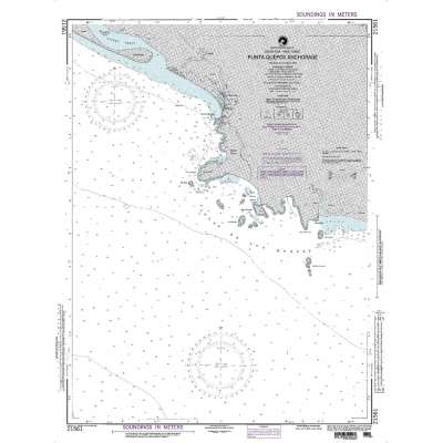 NGA Chart 21561: Punta Quepos Anchorage