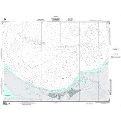 NGA Chart 28161: Puerto de Tela and Approaches