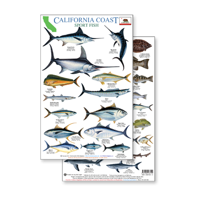 California Coast Field Guide: Sportfish