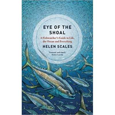 Eye of the Shoal: A Fishwatcher's Guide to Life, the Ocean and Everything PAPERBACK