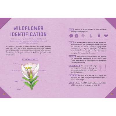 Outdoor School: Tree, Wildflower, and Mushroom Spotting: The Definitive Interactive Nature Guide