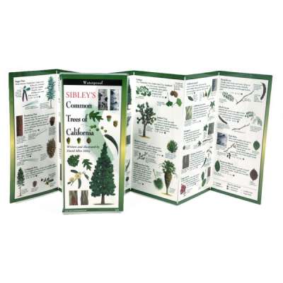 Sibleys Common Trees Of California Folding Guide - Book