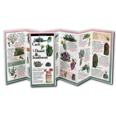 Cacti of the Desert Southwest  - Book