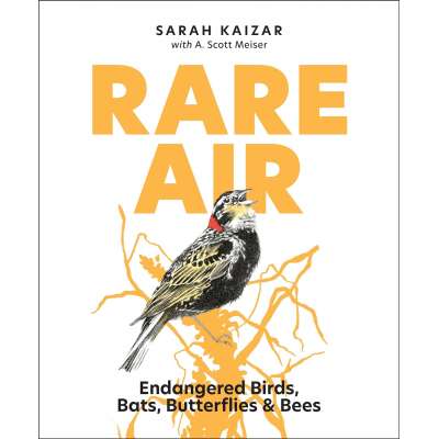 Rare Air - Endangered Birds, Bats, Butterflies and Bees - Book