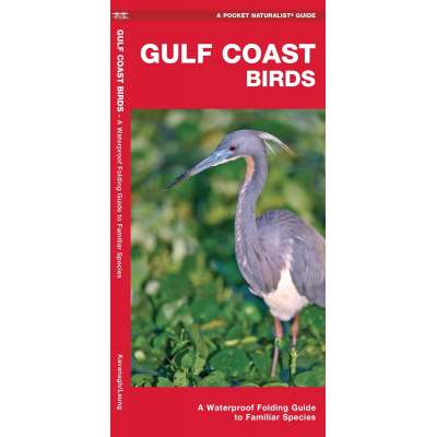 Gulf Coast Birds: A Waterproof Folding Guide to Familiar Species  - Book