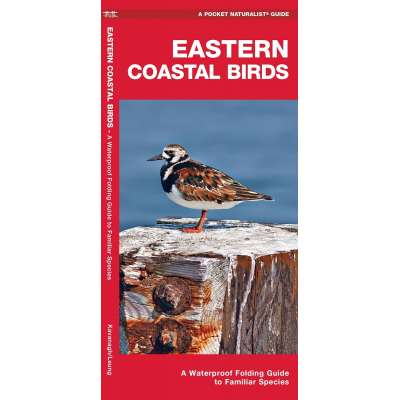 Eastern Coastal Birds: A Waterproof Folding Guide to Familiar Species  - Book