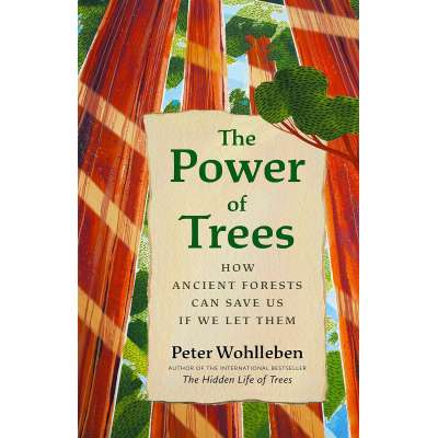 The Power Of Trees: How Ancient Forests Can Save Us If We Let Them - Book