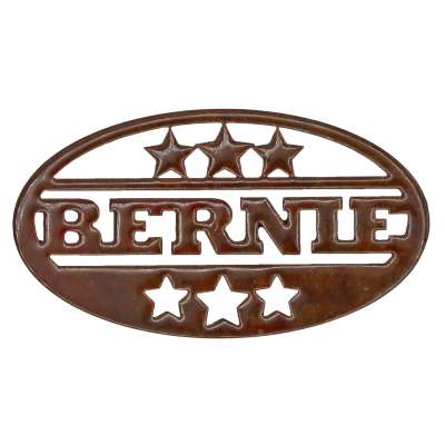 Bernie - Magnet