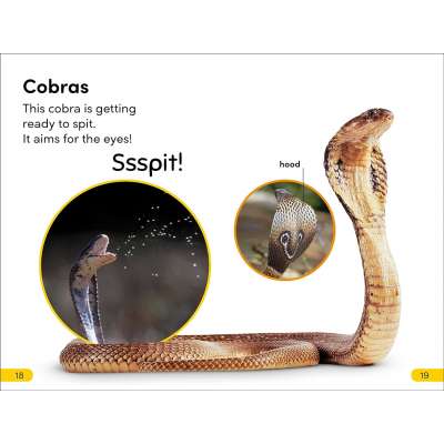 DK Super Readers Level 2 Snakes Slither and Hiss - Book