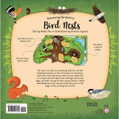 Discovering the World of Bird Nests