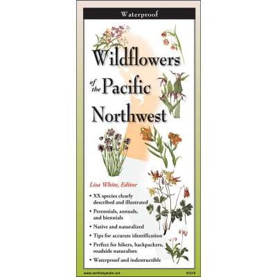 Common Wildflowers of the Pacific Northwest