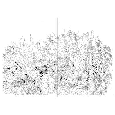 Leila Duly’s Beautiful Planet: An Intricate Coloring Book