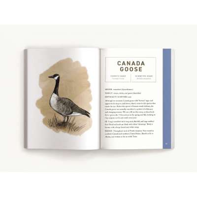 Birds: An Illustrated Field Guide