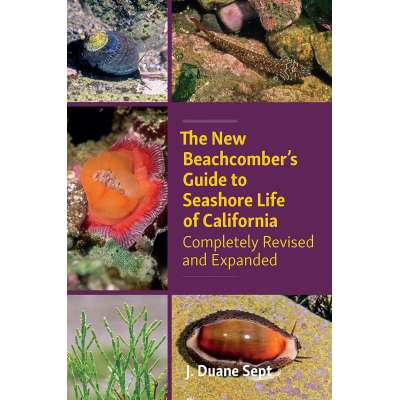 The New Beachcomber’s Guide to Seashore Life of California: Completely Revised and Expanded