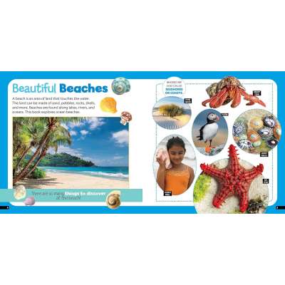 Little Kids First Nature Guide: Explore the Beach - Book