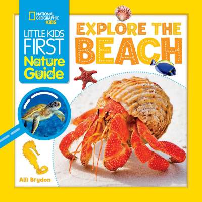 Little Kids First Nature Guide: Explore the Beach - Book