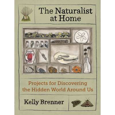 The Naturalist at Home: Projects for Discovering the Hidden World Around Us