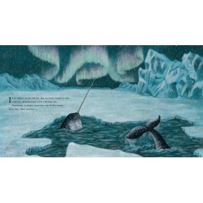 Narwhal: The Arctic Unicorn - Book