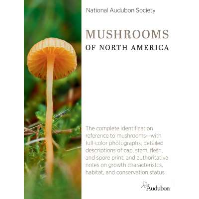 National Audubon Society Mushrooms of North America