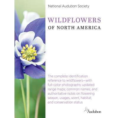 National Audubon Society Wildflowers of North America
