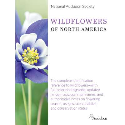National Audubon Society Wildflowers of North America