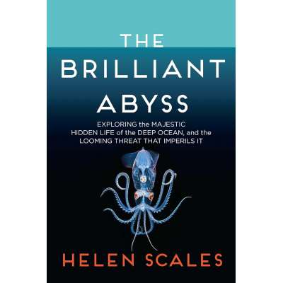 The Brilliant Abyss: Exploring the Majestic Hidden Life of the Deep Ocean, and the Looming Threat That Imperils It - Book