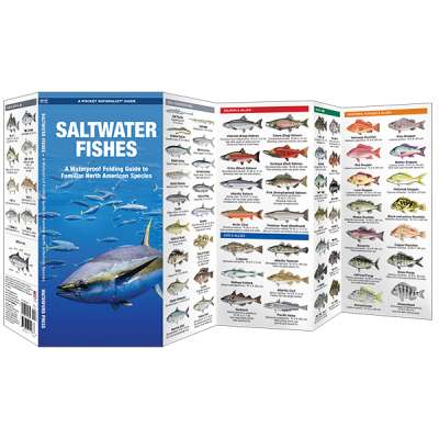 Saltwater Fishes 2nd Ed.