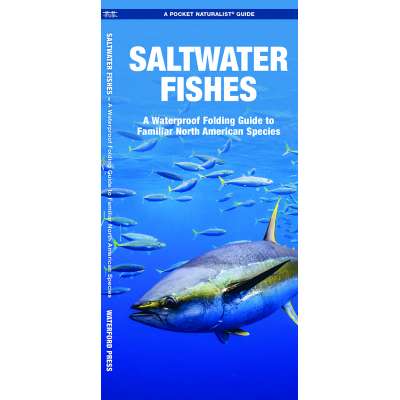 Saltwater Fishes 2nd Ed.