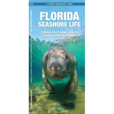 Florida Seashore Life: A Waterproof Folding Guide to Familiar Animals & Plants