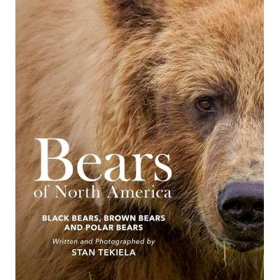 Bears of North America:  Black Bears, Brown Bears, and Polar Bears - Book