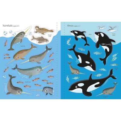 First Sticker Book Narwhals - Book