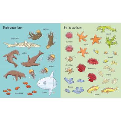 First Sticker Book Under the Sea - Book