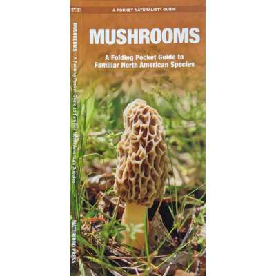 Mushrooms - A Folding Pocket Guide to Familiar North American Species - Laminated Pocket Guide