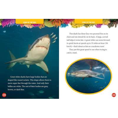 National Geographic Kids 5-Minute Shark Stories - Book