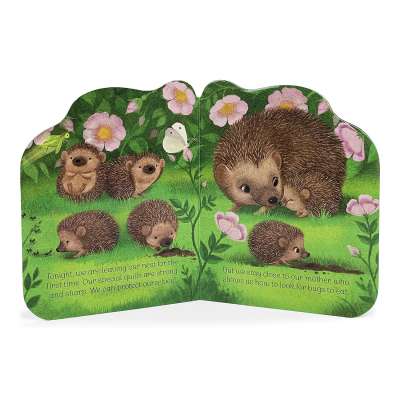 A Little Hedgehog - Board book