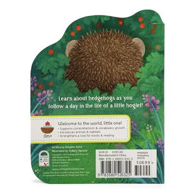 A Little Hedgehog - Board book
