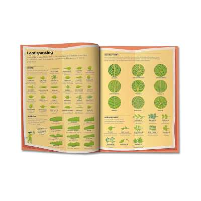 Britannica's Encyclopedia Infographica - Book