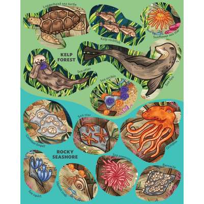 Creatures of the Ocean Sticker Poster - Book