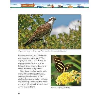 Discover Great National Parks: The Everglades - Book