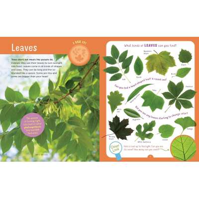 Backpack Explorer: Discovering Trees - Book