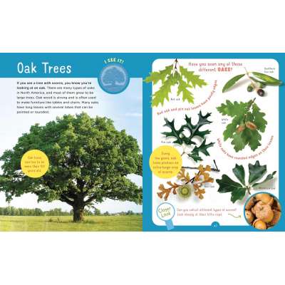 Backpack Explorer: Discovering Trees - Book